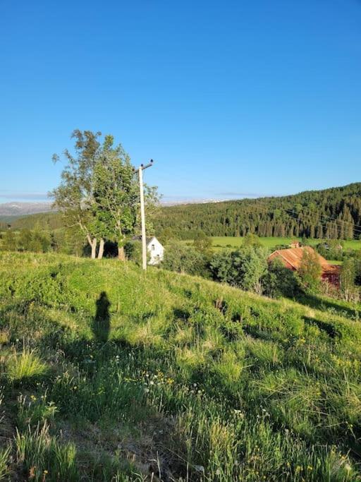 Skogan Lejlighed Leirfjord Eksteriør billede